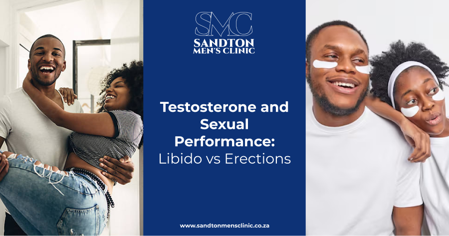 Testosterone and Sexual Performance | Libido vs Erections 1 testosterone and sexual performance