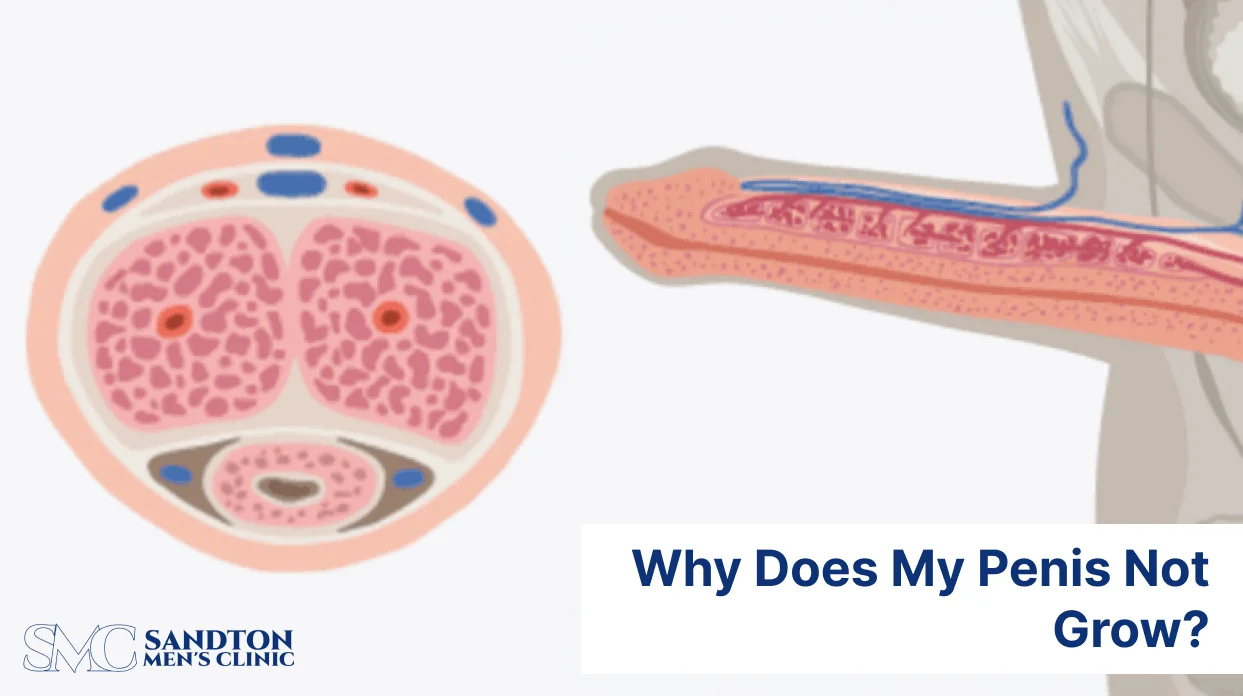 Why Does My Penis Not Grow 1