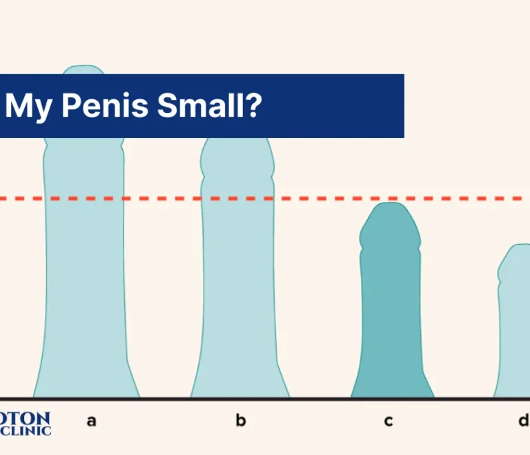 Why Is My Penis Small 1